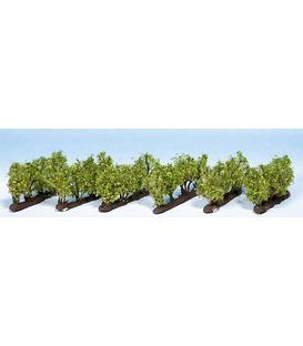 Set 24 arbuști, 2.2 cm înălțime, Noch 21540