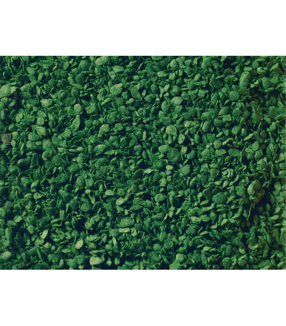Frunze verde mediu