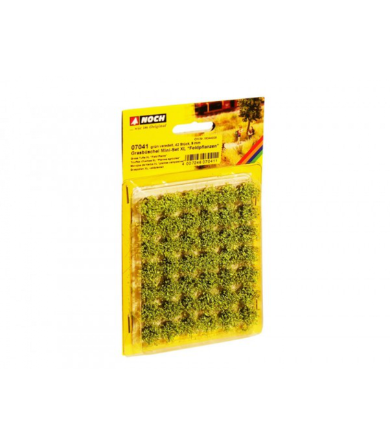 Tufe plante de câmp