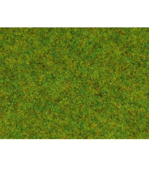 Iarbă pajiște de primăvară