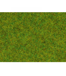 Iarbă pajiște de primăvară