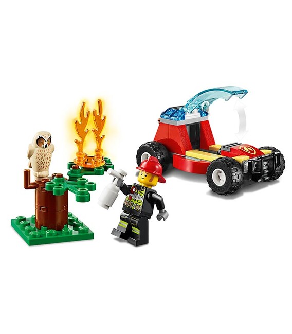 Incendiu în pădure