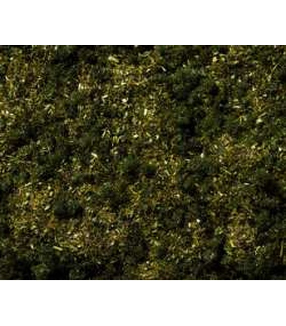 Fire iarbă poiană pădure, verde închis Noch 08350