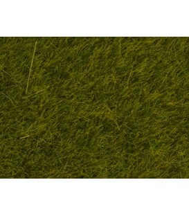 Fire iarbă sălbatică pajiște